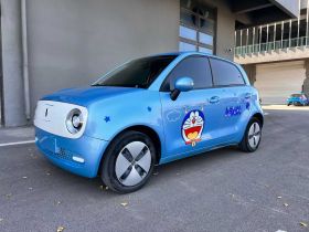 欧拉黑猫 2021款 301km 基础型