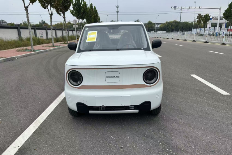 吉利银河 2024款 熊猫mini 200km 耐力熊车身外观6005