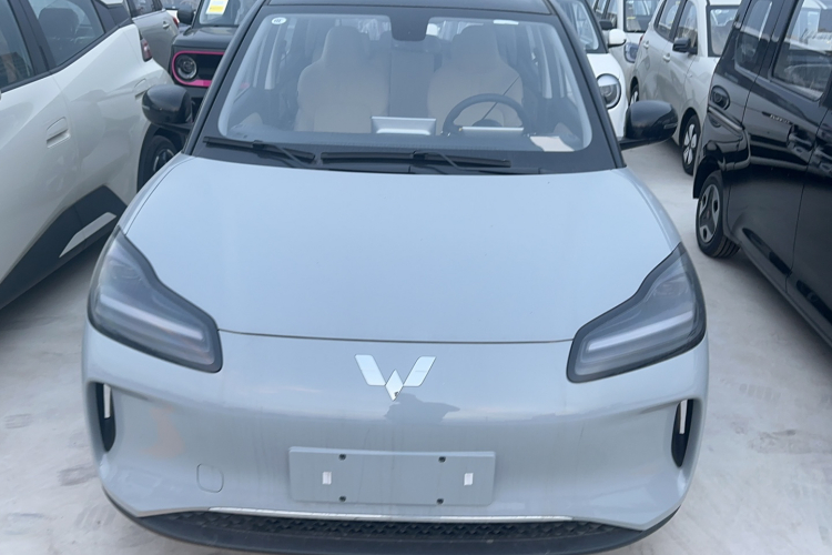 五菱汽车 五菱缤果PLUS 2024款 401km 五座版车身外观6001