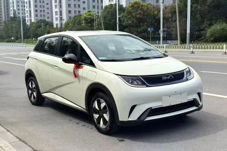 比亚迪 海豚 2025款 智驾版 420km 自由版车身外观6001