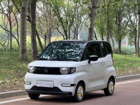 奇瑞 QQ冰淇淋 2024款 青春版 120km奶昔