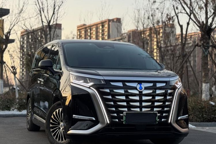 腾势D9 2022款 DM-i 970 四驱旗舰型车身外观6002