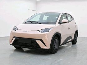 比亚迪 海鸥 2025款 305km 活力版