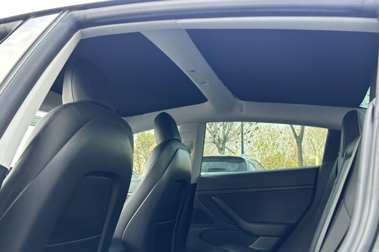 特斯拉 Model 3 2020款 标准续航后驱升级版局部细节22