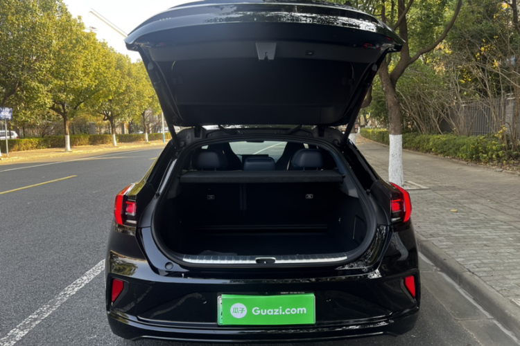 极氪001 2024款 WE版 100kWh 后驱车身外观6009