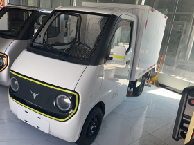 大力牛魔王D02 2023款 120km 厢式标准型