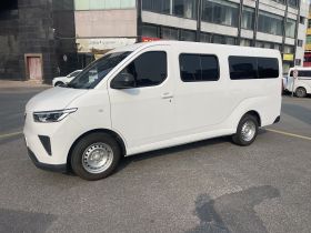 五菱汽车 五菱扬光 2024款 300KM 舒适型客车版 75kW
