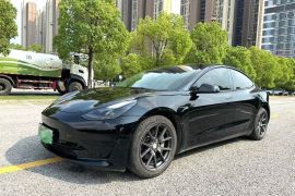 特斯拉 Model 3 2021款 标准续航后驱升级版 3D6