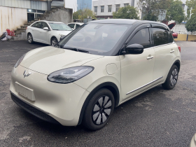 五菱汽车 五菱缤果 2023款 333km 灵犀互联+款