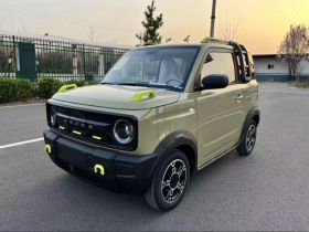 吉利银河 2025款 210km 熊猫骑士