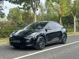 特斯拉 Model Y 2023款 后轮驱动版
