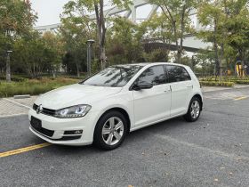 大众 高尔夫 2017款 230TSI 自动舒适百万辆纪念版