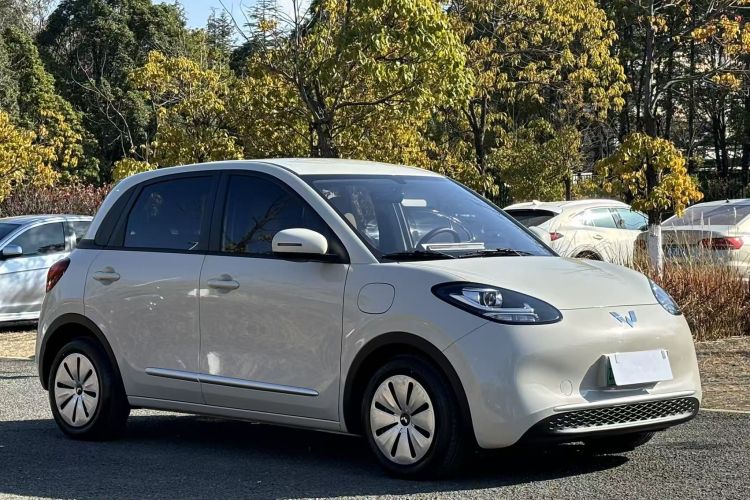 五菱汽车 五菱缤果 2023款 333km 快享款车身外观6003