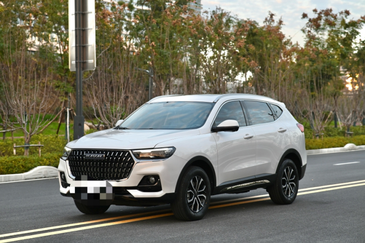 哈弗H6 2023款 国潮版 1.5T 自动都市版车身外观6005