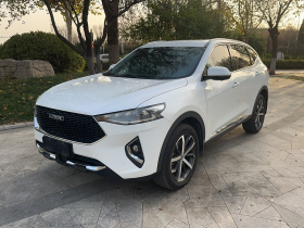 哈弗F7 2019款 1.5T 两驱i潮 国V