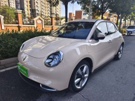 欧拉好猫 2022款 莫兰迪版 400km标准续航 尊贵型 磷酸铁锂