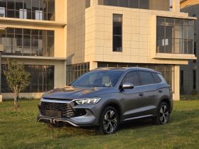 比亚迪 宋Pro新能源 2023款 冠军版 DM-i 110KM卓越型