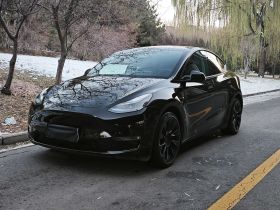 特斯拉 Model Y 2021款 标准续航后驱版