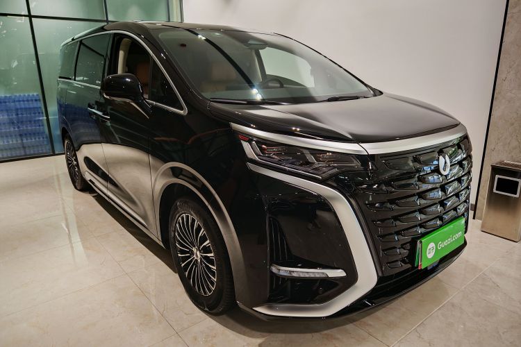 腾势D9 2024款 DM-i 980 四驱尊荣型车身外观6007