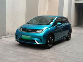 比亚迪 海豚 2021款 405km 自由版