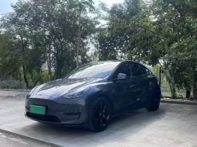 特斯拉 Model Y 2022款 后轮驱动版