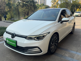 大众 高尔夫 2021款 280TSI DSG Pro