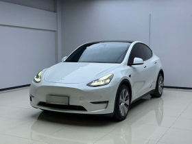 特斯拉 Model Y 2021款 标准续航后驱版