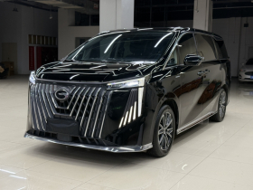 广汽传祺 传祺M8 2024款 大师系列 400T 尊贵版