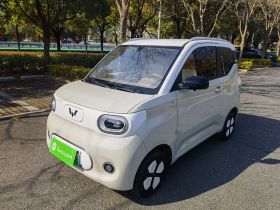 五菱汽车 宏光MINIEV 2024款 第三代 215km 进阶版