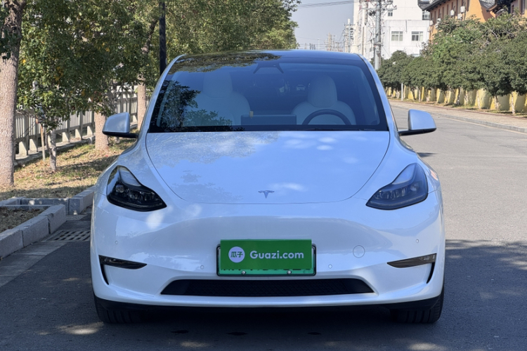 特斯拉 Model Y 2022款 Performance高性能全轮驱动版车身外观6001