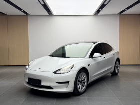 特斯拉 Model 3 2021款 标准续航后驱升级版 3D6
