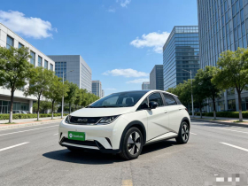 比亚迪 海豚 2023款 420km 时尚版