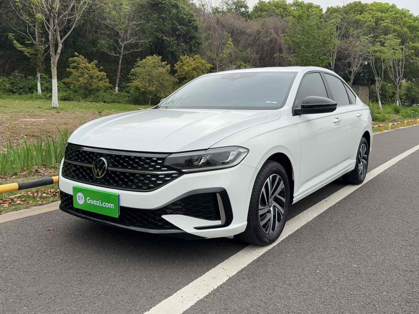 大众 朗逸 2024款 300TSI DSG星空满逸版(2)