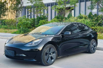 特斯拉 Model 3 2021款 标准续航后驱升级版 3D6