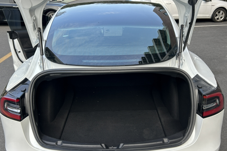 特斯拉 Model 3(进口) 2019款 标准续航后驱升级版(60度)局部细节23