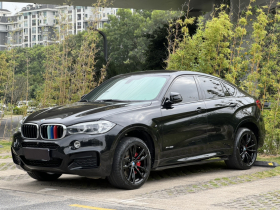 宝马X6 2019款 xDrive35i M运动套装