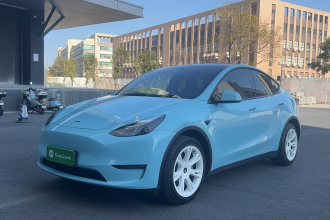 特斯拉 Model Y 2024款 长续航全轮驱动版