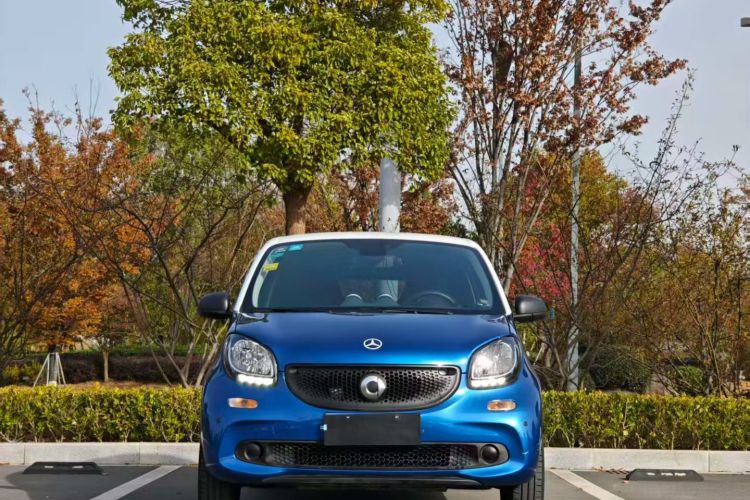 smart forfour 2018款 1.0L 52千瓦灵动版车身外观6001