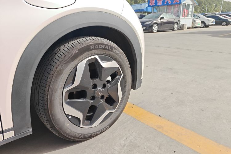 比亚迪 海豚 2021款 405km 时尚版车身外观6006