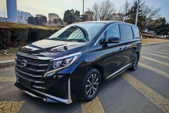 广汽传祺 传祺M8 2024款 领秀系列 390T 尊享版