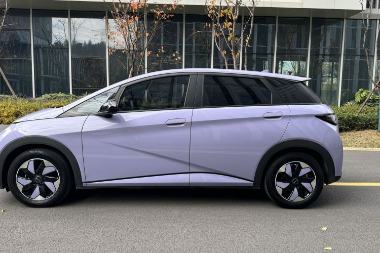 比亚迪 海豚 2024款 荣耀版 420km 时尚版车身外观6007