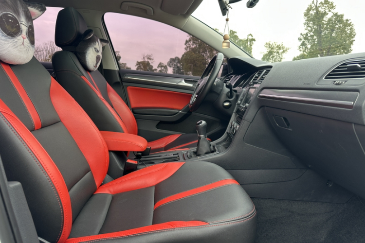 大众 高尔夫 2017款 230TSI 手动舒适百万辆纪念版局部细节41