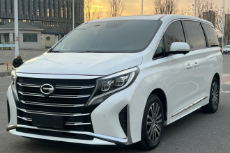 广汽传祺 传祺M8 2021款 领秀系列 390T 至尊版