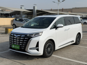 腾势D9 2022款 DM-i 970 四驱尊荣型