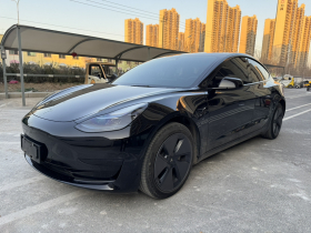 特斯拉 Model 3 2022款 后轮驱动版