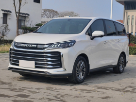 上汽大通MAXUS 大通G50 2023款 PLUS 1.5T 自动巡航版