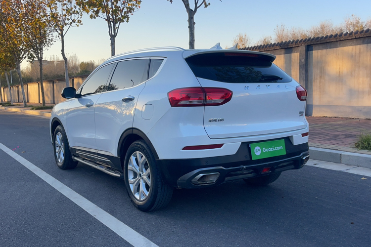 哈弗H6 2019款 红标 2.0GDIT 自动冠军版车身外观6006
