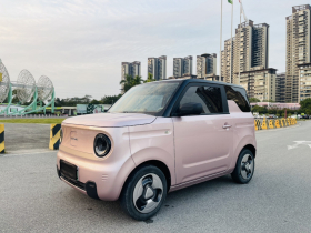 吉利银河 2023款 熊猫mini 200km 灵动熊