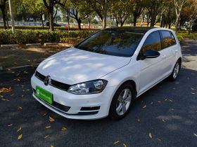 大众 高尔夫 2017款 1.6L 自动舒适百万辆纪念版