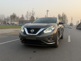 日产 楼兰 2019款 2.5L XL 两驱智联豪华版 国VI